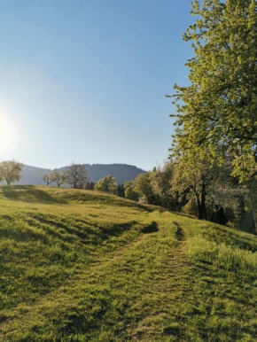 Apartma Lesjak - pobeg v naravo Mozirje